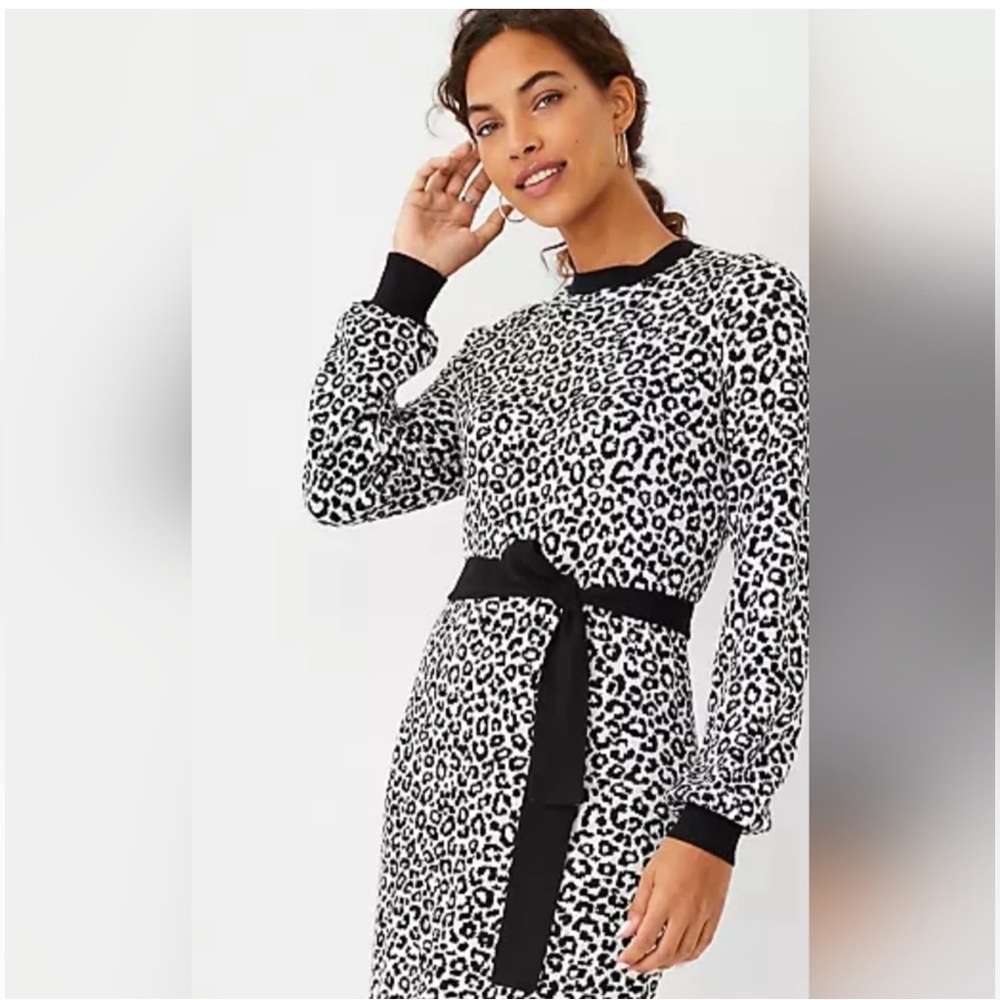 Ann Taylor cheetah print long sleeve sweater dress